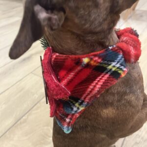 Bandana canin de Noël